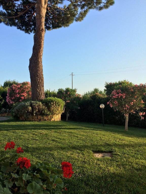Agriturismo - B&B L'Acquacotta Castiglione della Pescaia Εξωτερικό φωτογραφία